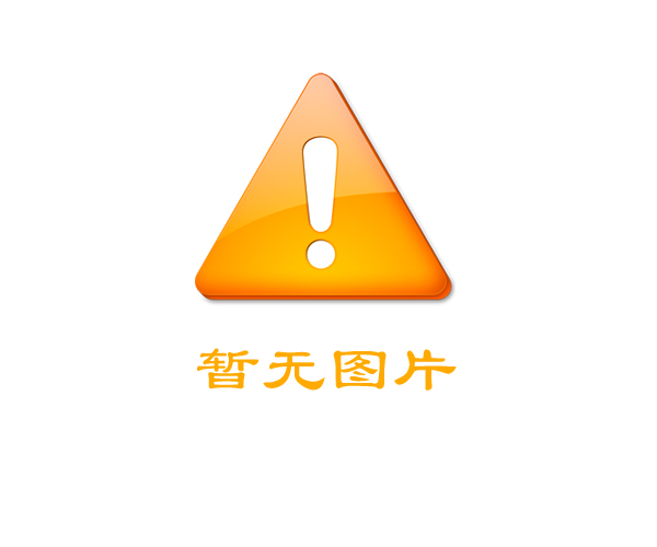 有機污泥穩(wěn)定化處理技術(shù)